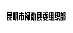 昆明市禄劝县委组织部